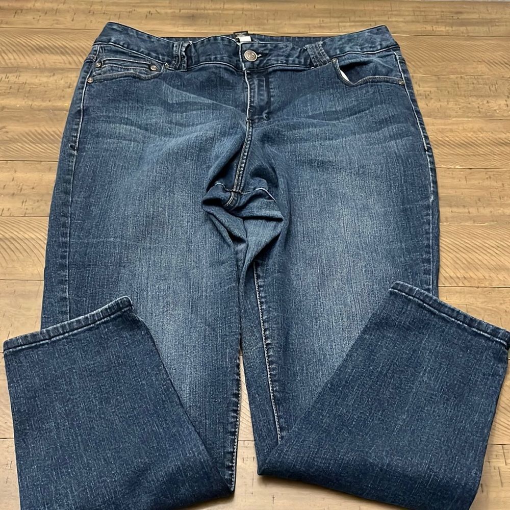 Lane Bryant Jegging denim